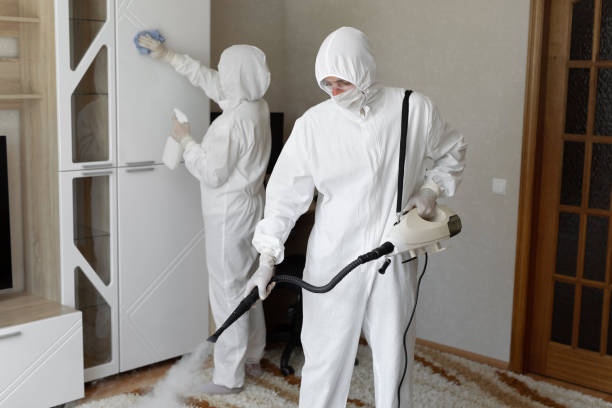 Best Mold Testing  in Toledo, IL