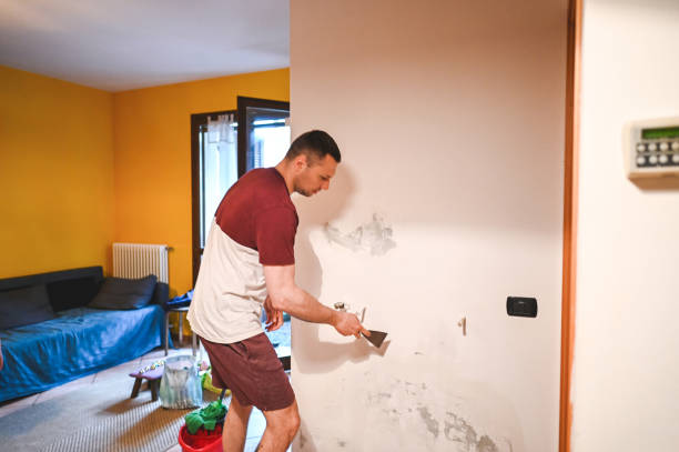 Mold Removal Process in Toledo, IL